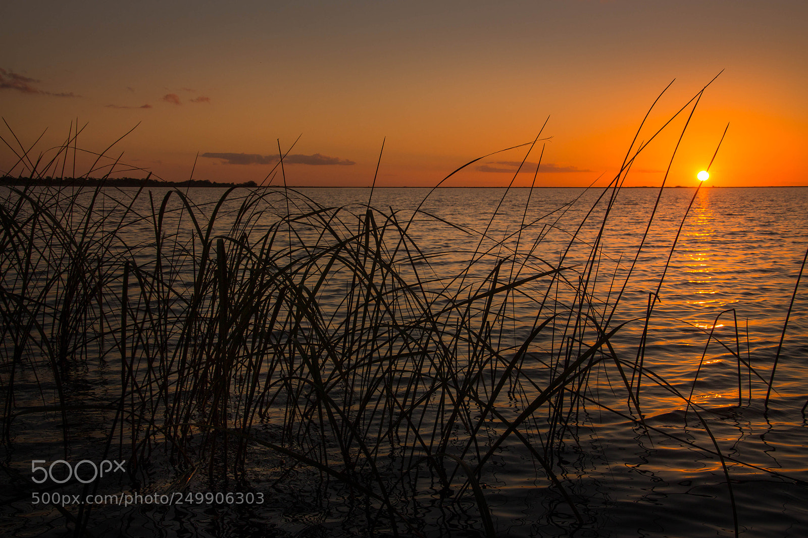 Canon EOS 700D (EOS Rebel T5i / EOS Kiss X7i) sample photo. Los esteros sunset photography