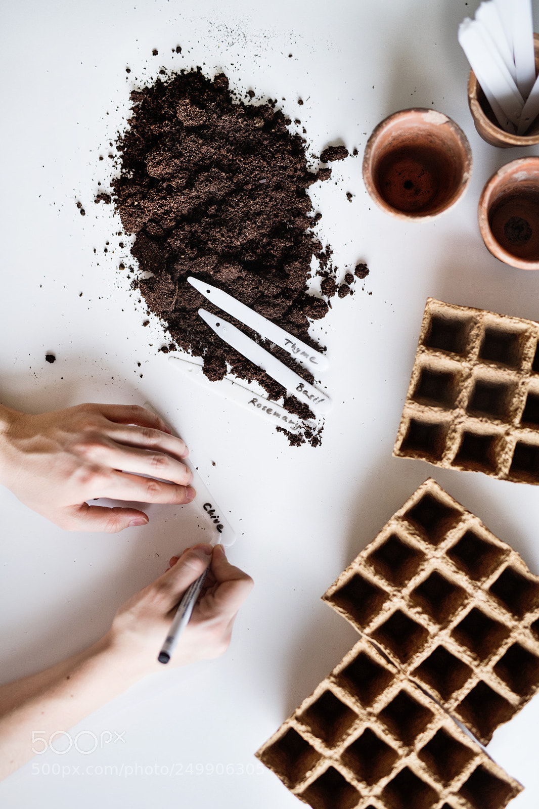 Nikon D5 sample photo. Planting seeds composition. female photography