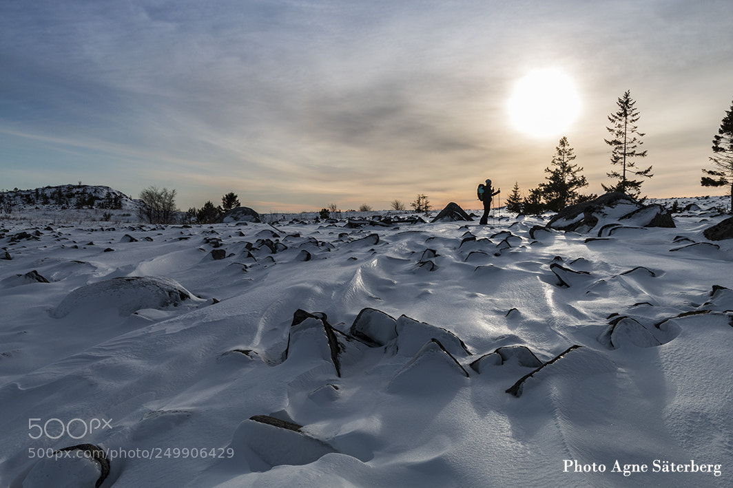 Canon EOS 70D sample photo. A beautiful winter landscape photography