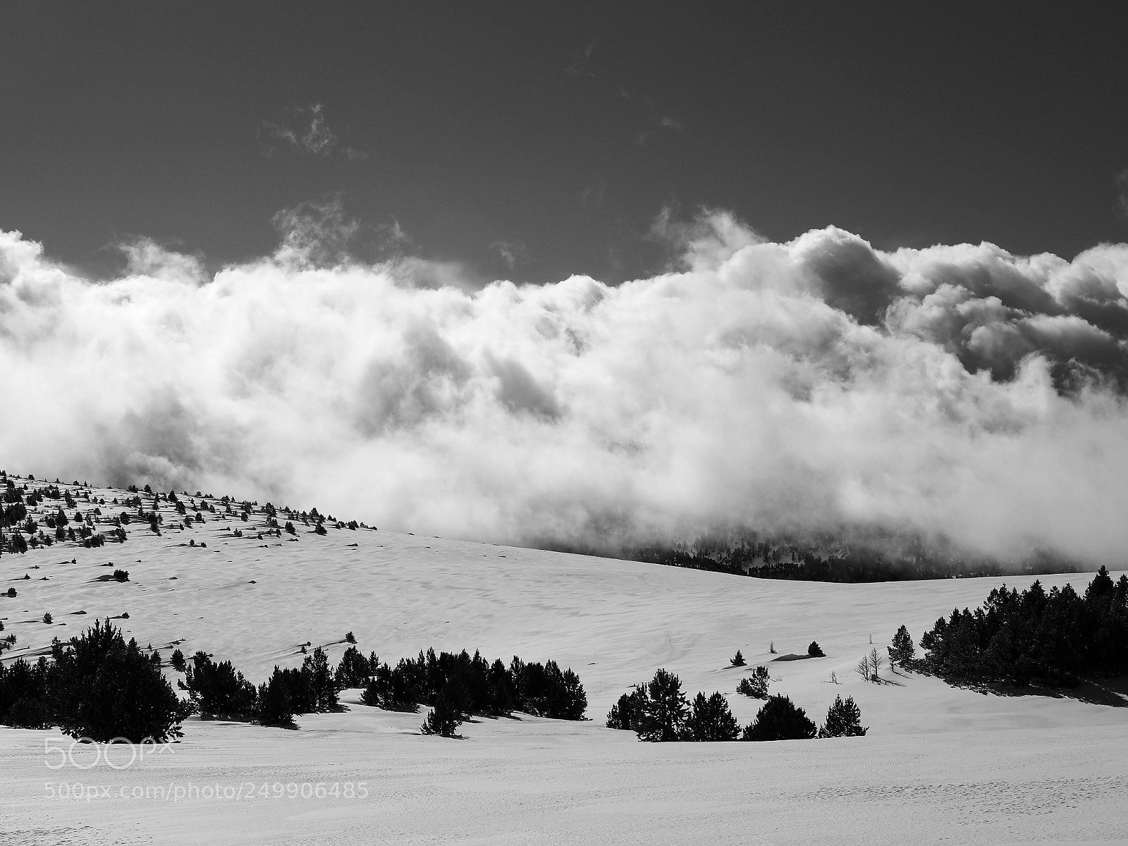 Olympus OM-D E-M10 II sample photo. Camporells photography