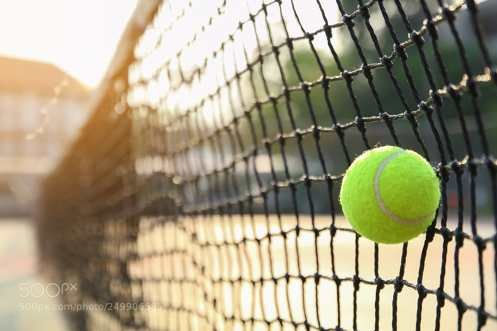 Canon EOS 550D (EOS Rebel T2i / EOS Kiss X4) sample photo. Tennis ball photography