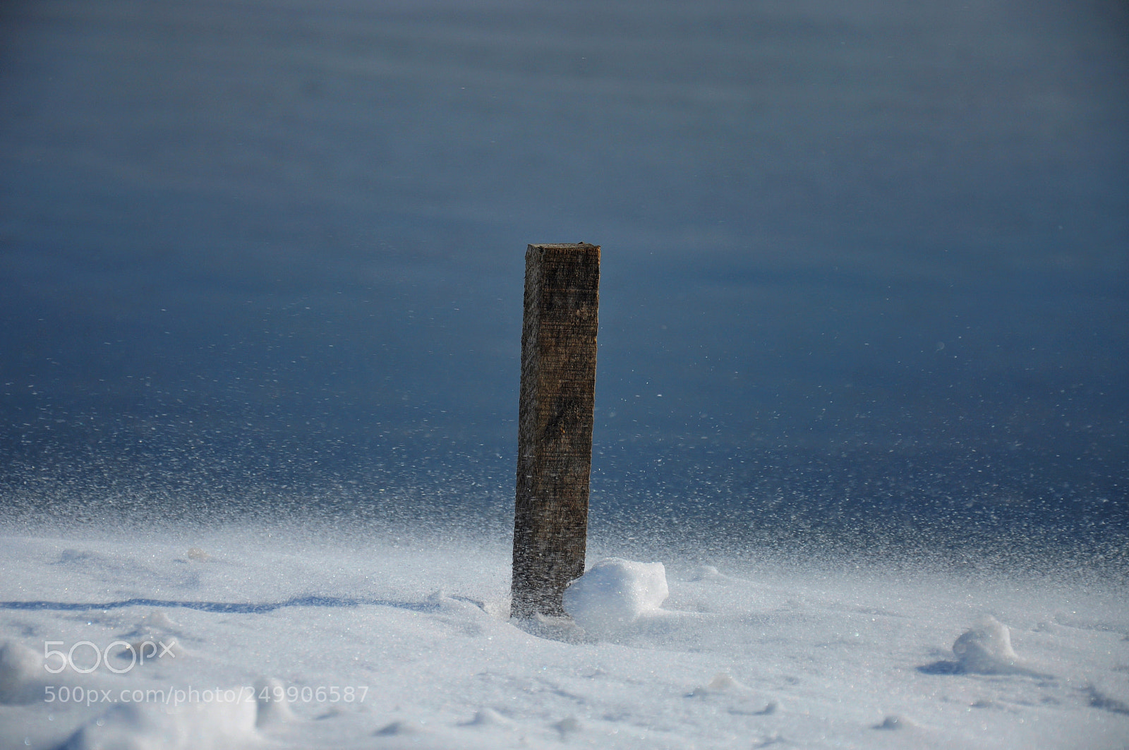 Nikon D90 sample photo. Untitled photography