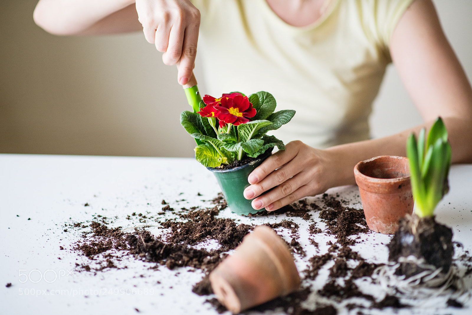 Nikon D5 sample photo. Young woman planting flower photography