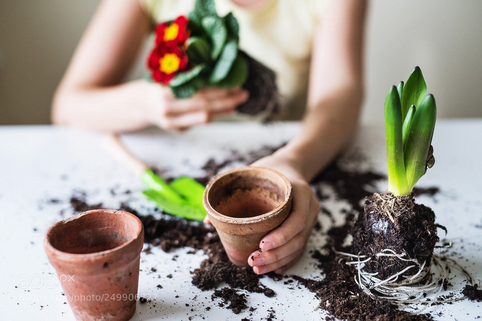 Nikon D5 sample photo. Young woman planting flower photography