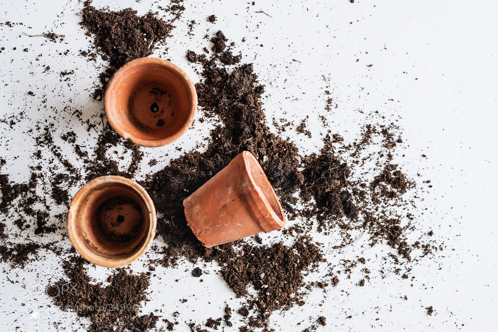 Nikon D5 sample photo. Spring and planting seedlings photography