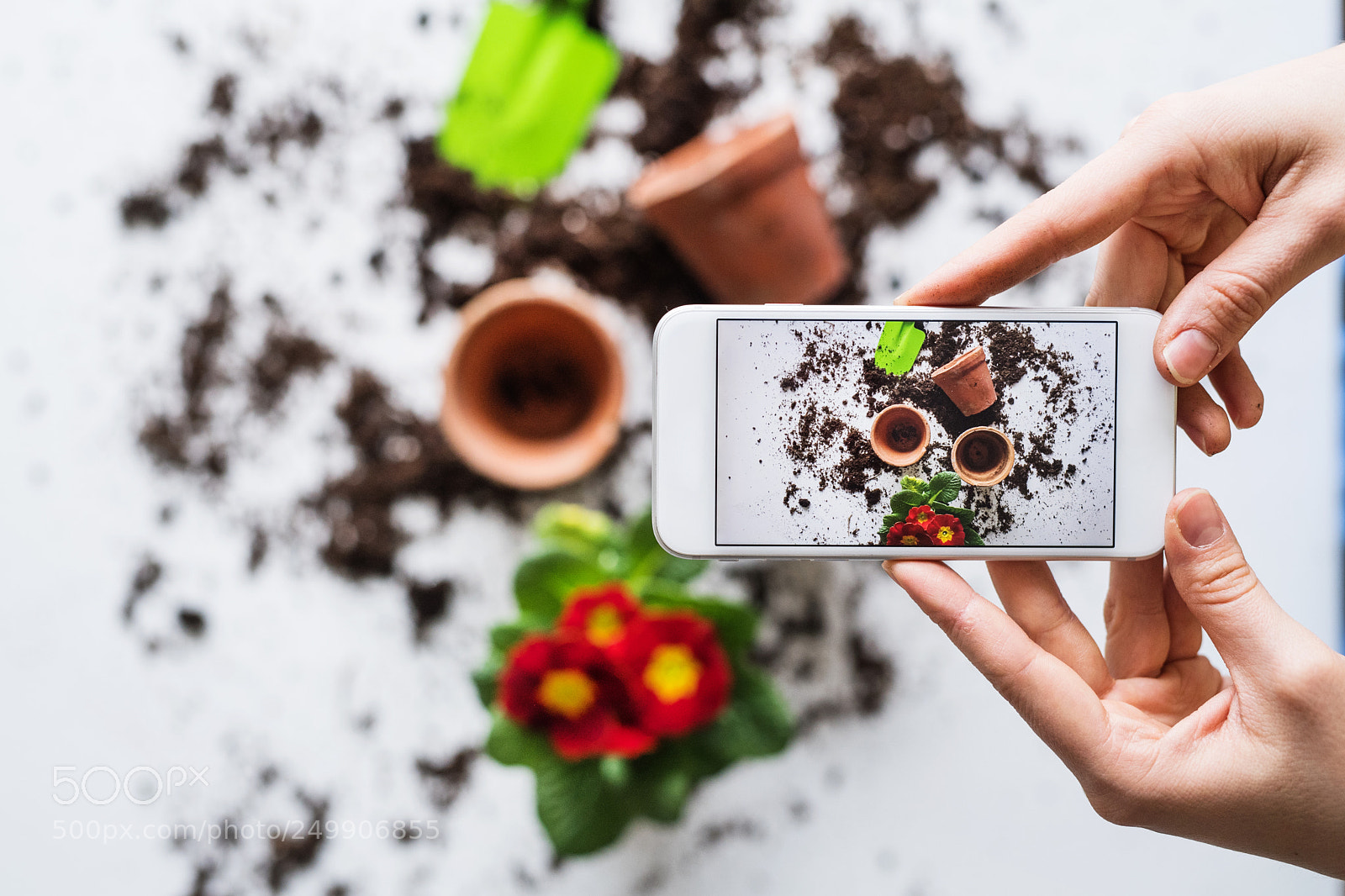 Nikon D5 sample photo. Planting seedlings composition. female photography