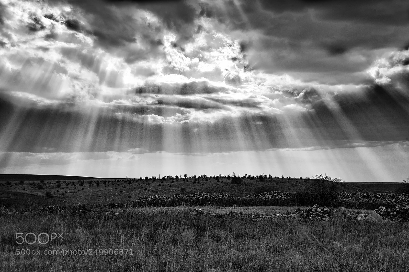 Nikon D700 sample photo. Rays of light filtered photography