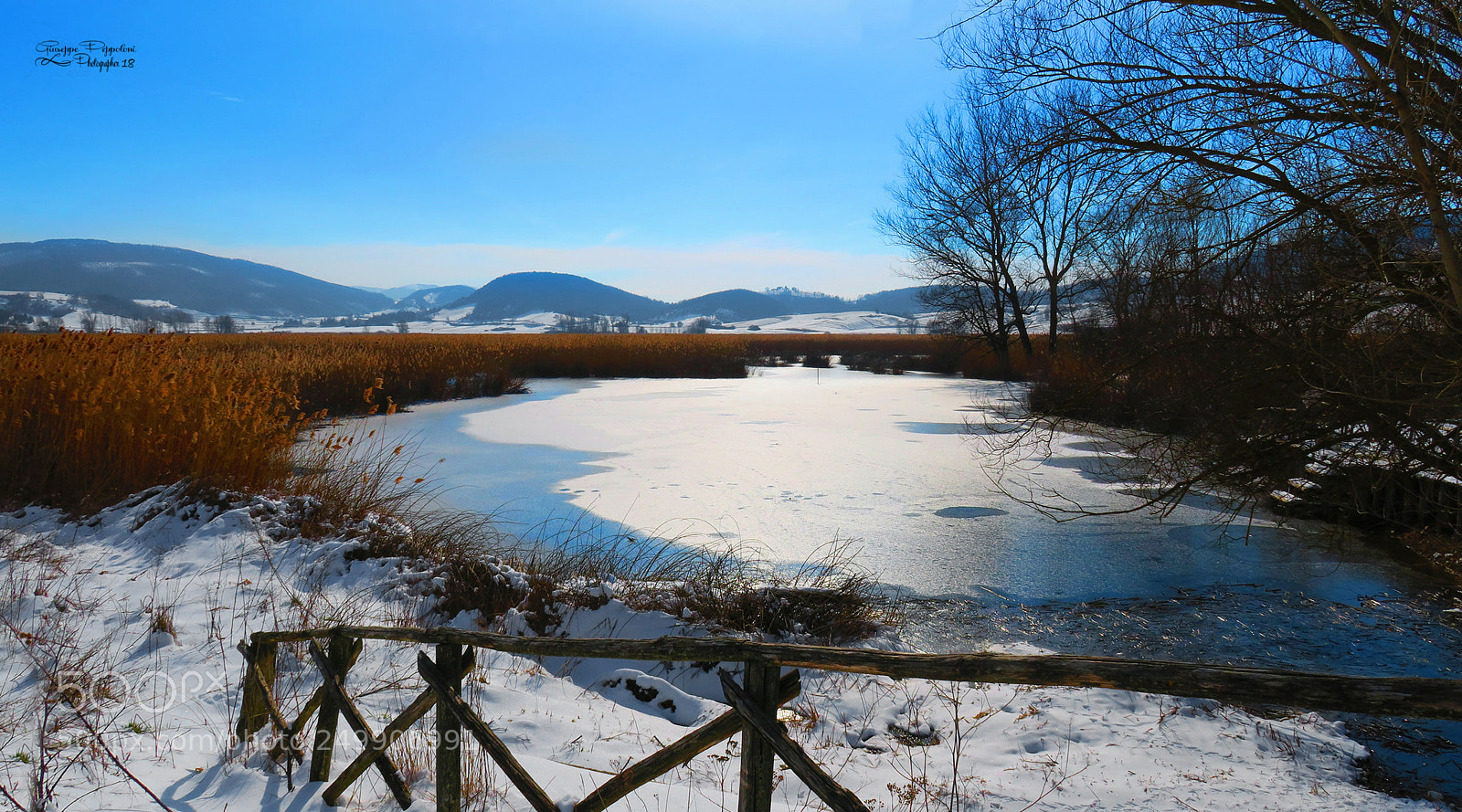 Canon PowerShot G3 X sample photo. Parco photography