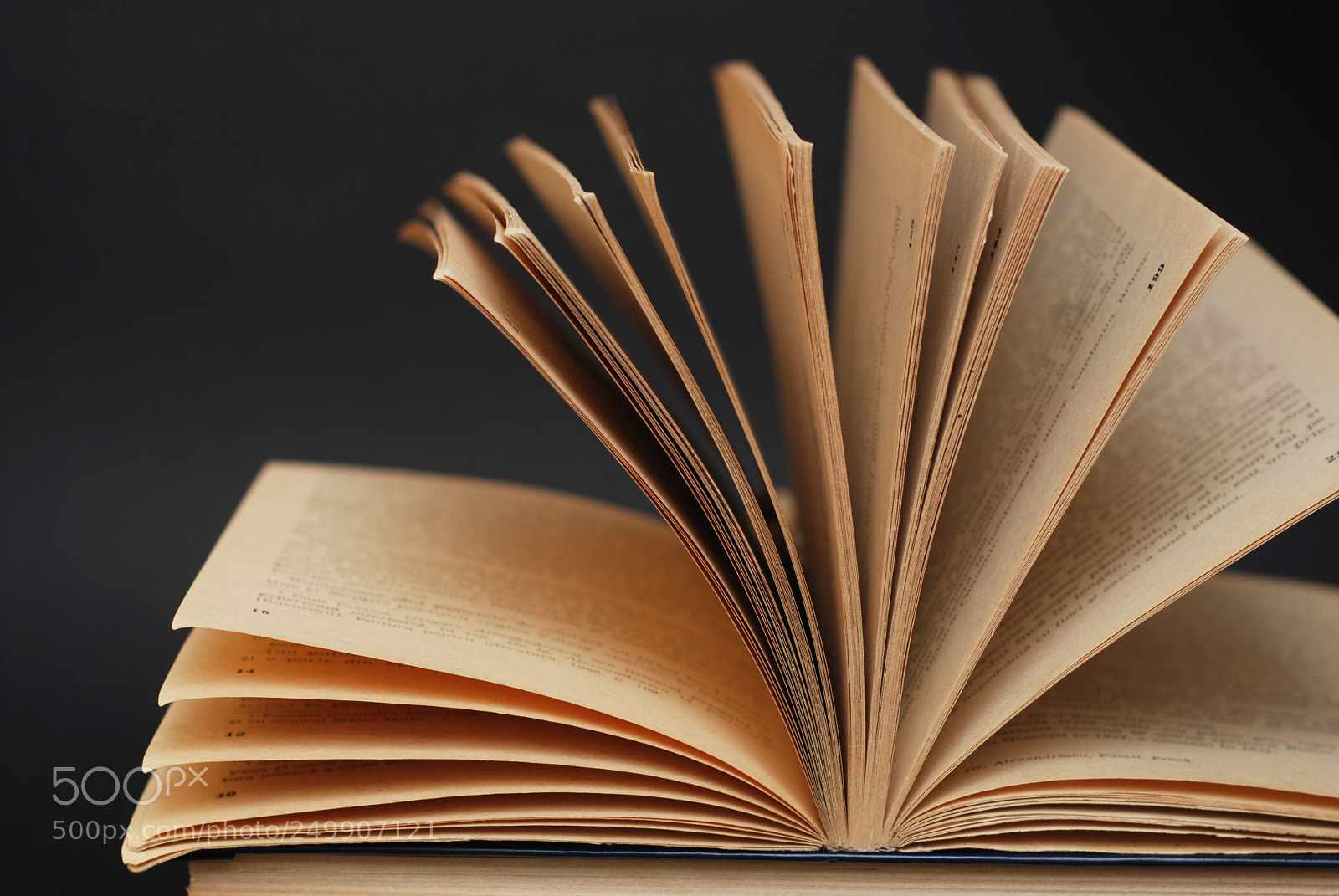 Nikon D80 sample photo. Open book on a photography
