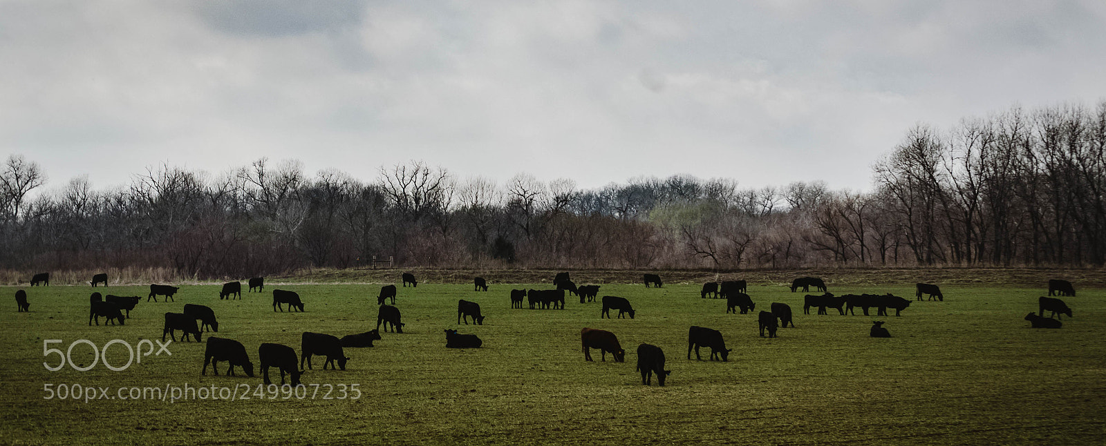 Nikon D5100 sample photo. Scenic route photography