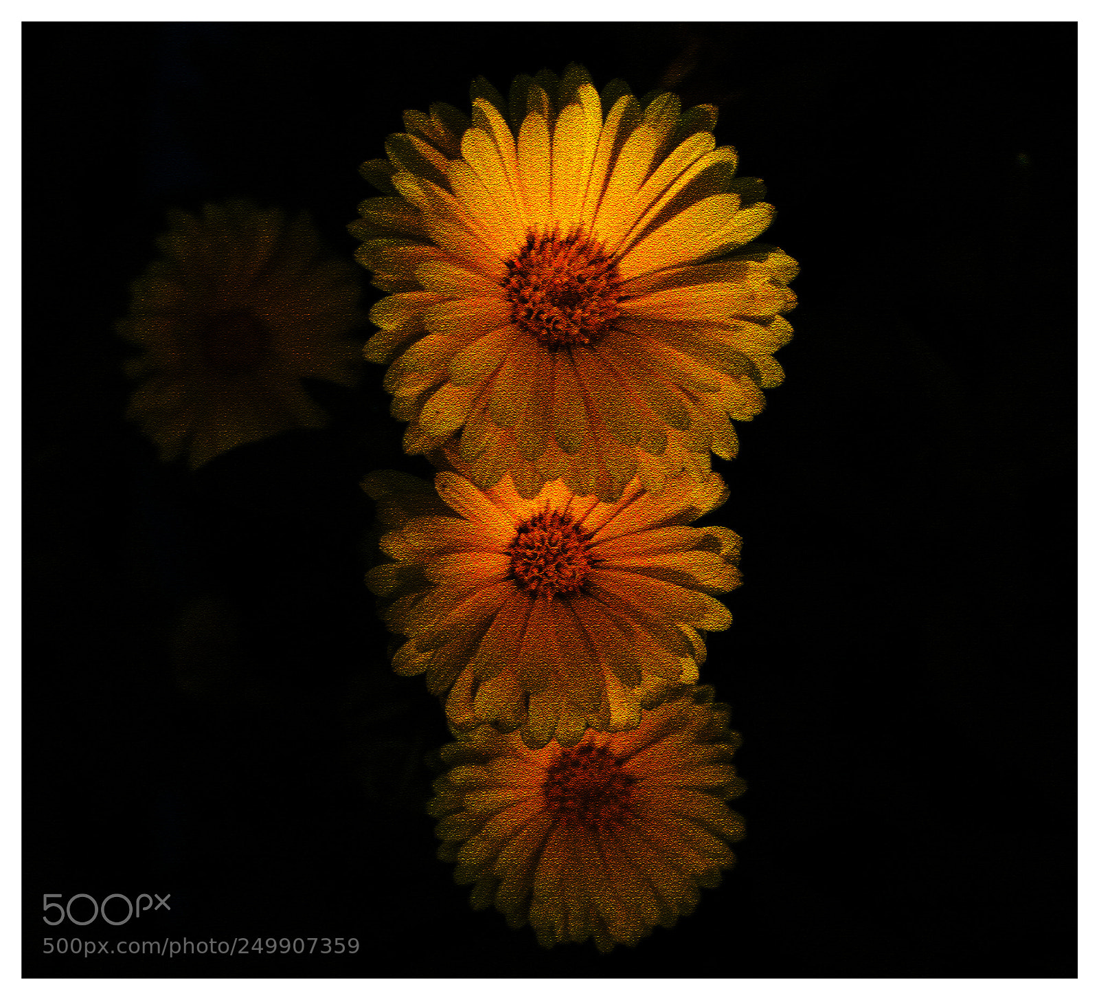Nikon D810 sample photo. We three photography