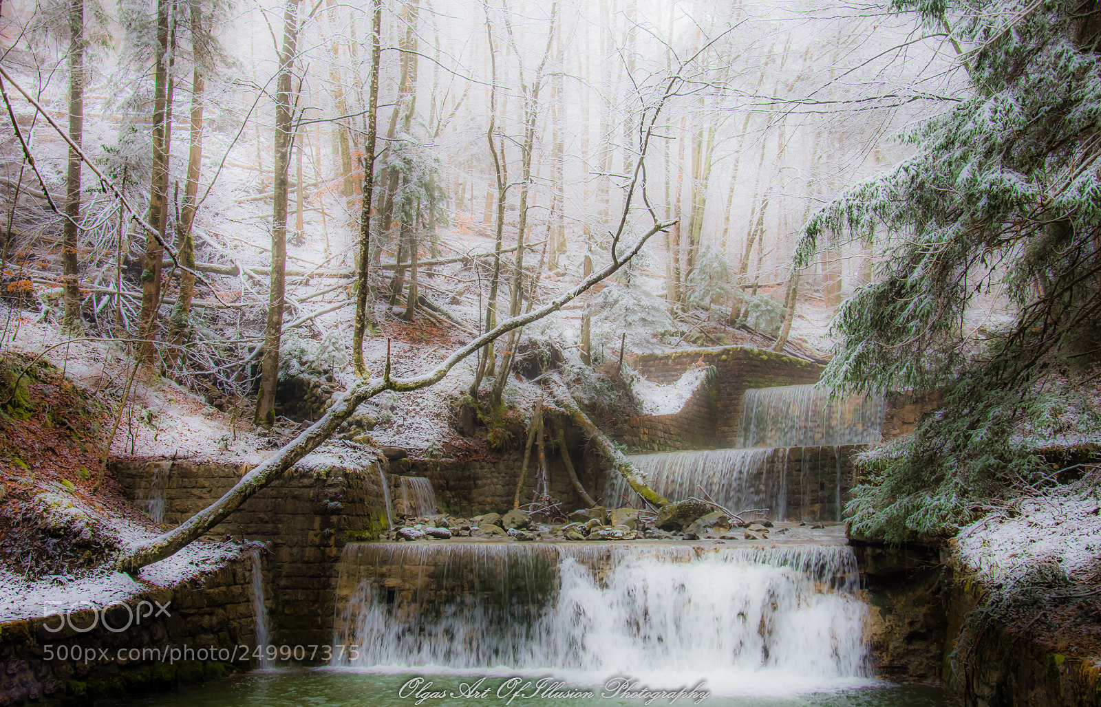 Nikon D7200 sample photo. Fairytale photography