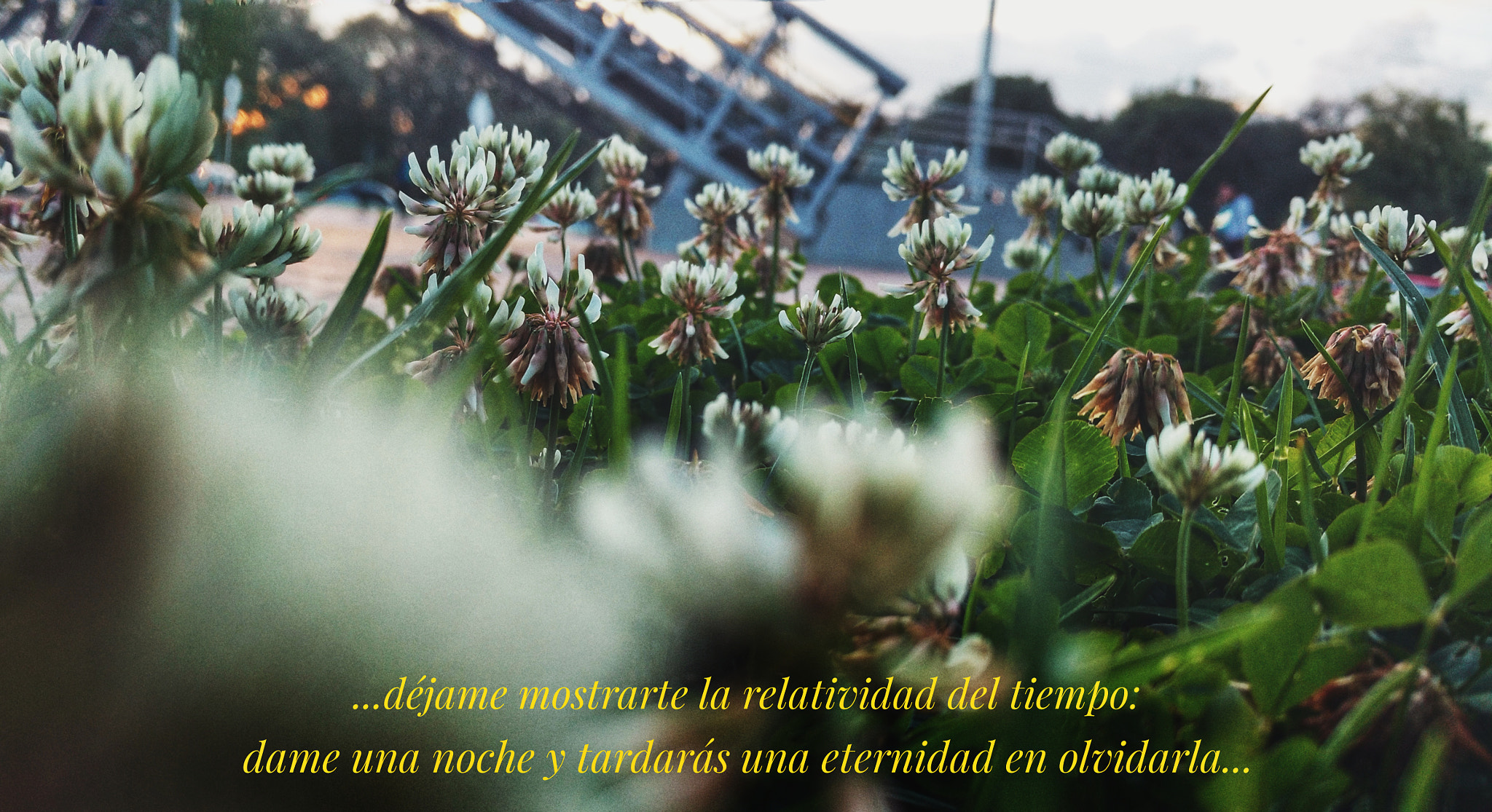 Motorola XT1563 sample photo. Dejame photography
