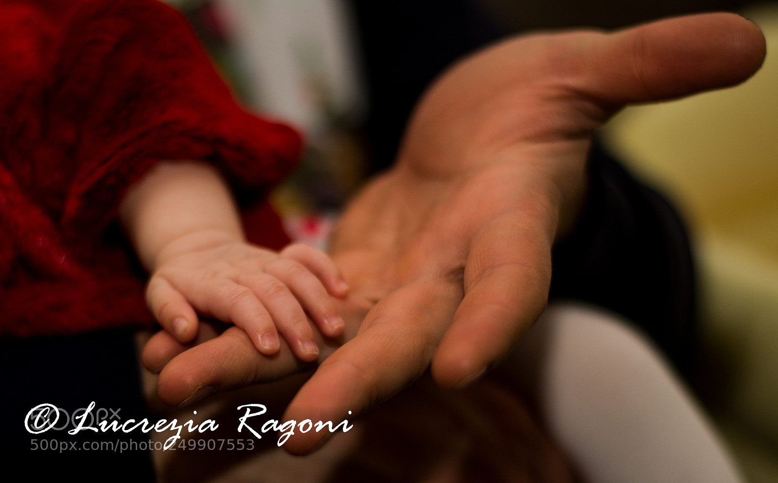 Nikon D5200 sample photo. Untitled photography