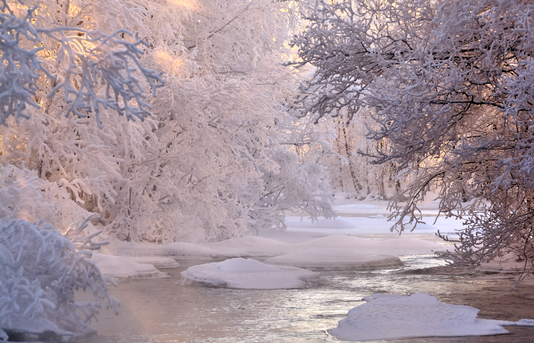 Nikon D7100 sample photo. Freezing river photography
