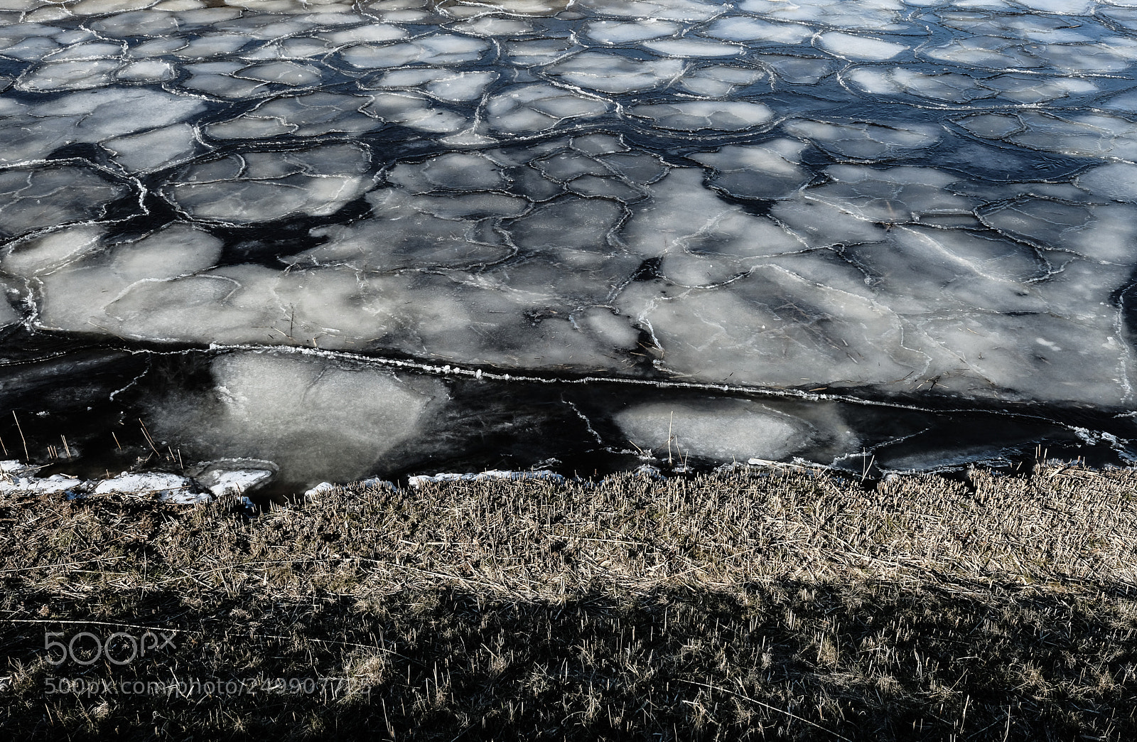 Fujifilm X-T2 sample photo. Texel textures photography