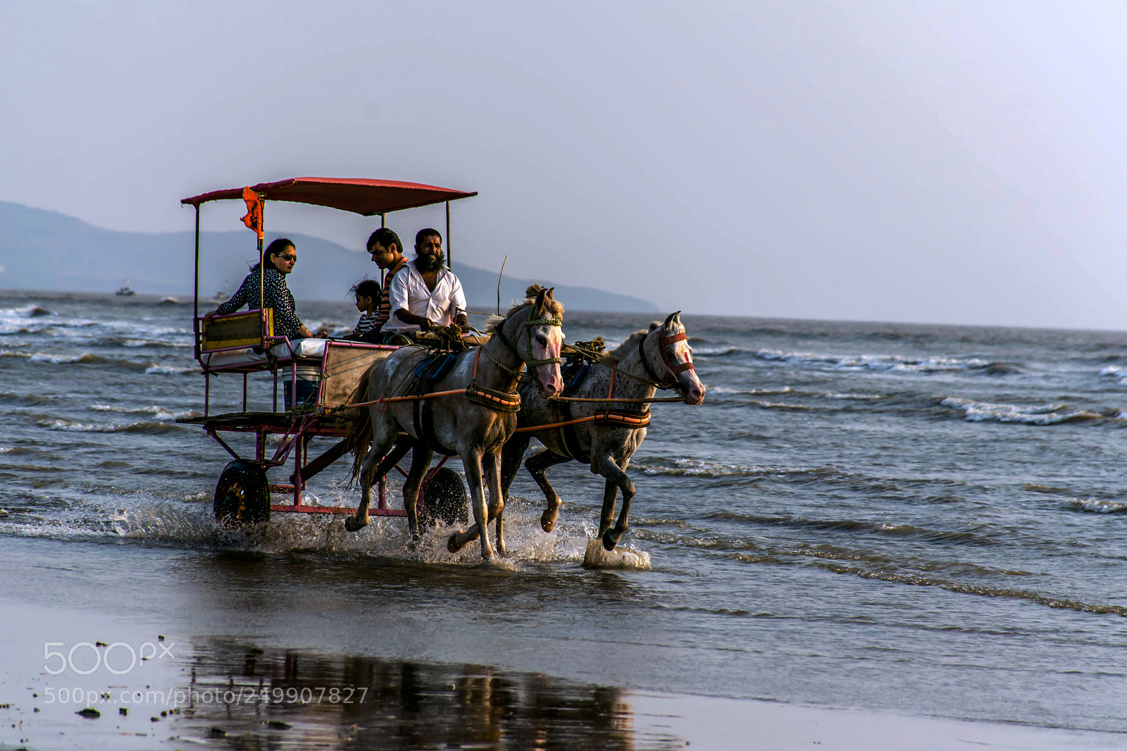 Nikon D7200 sample photo. Galloping along the beach photography