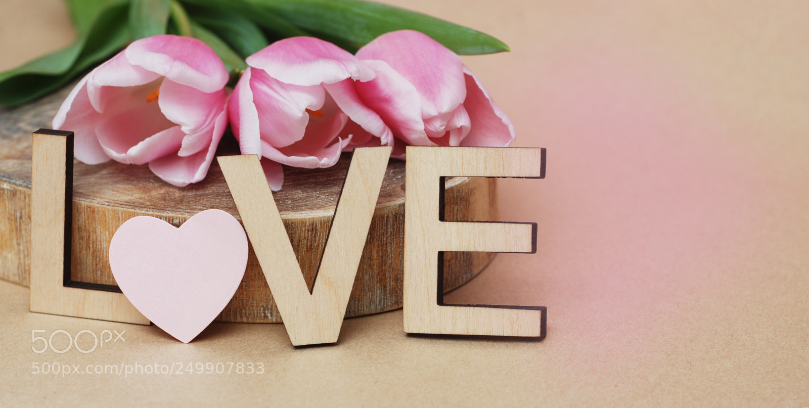Nikon D80 sample photo. Pink tulips with wooden photography