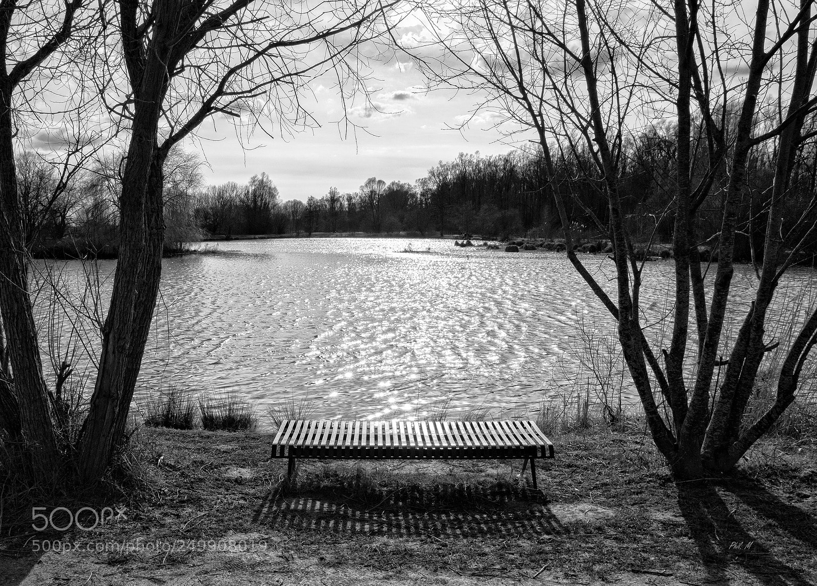 Canon EOS 1200D (EOS Rebel T5 / EOS Kiss X70 / EOS Hi) sample photo. Le banc. photography