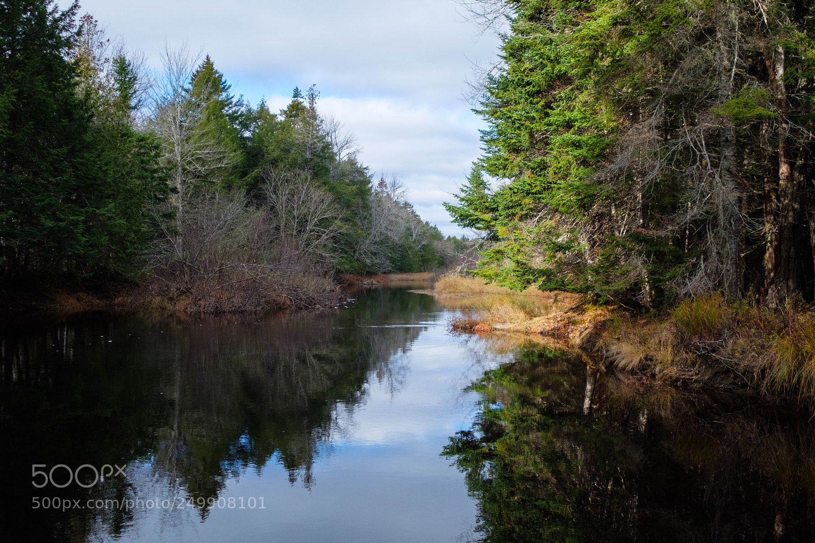 Fujifilm X-Pro2 sample photo. Maine river 2 photography