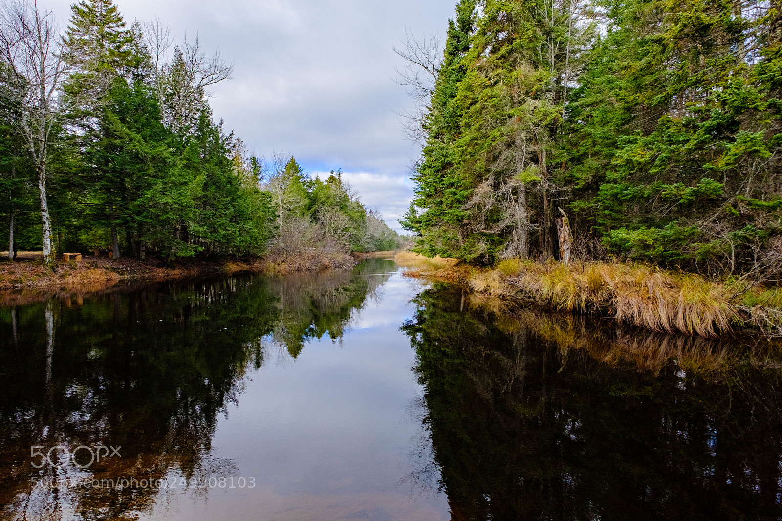 Fujifilm X-Pro2 sample photo. Maine river 3 photography