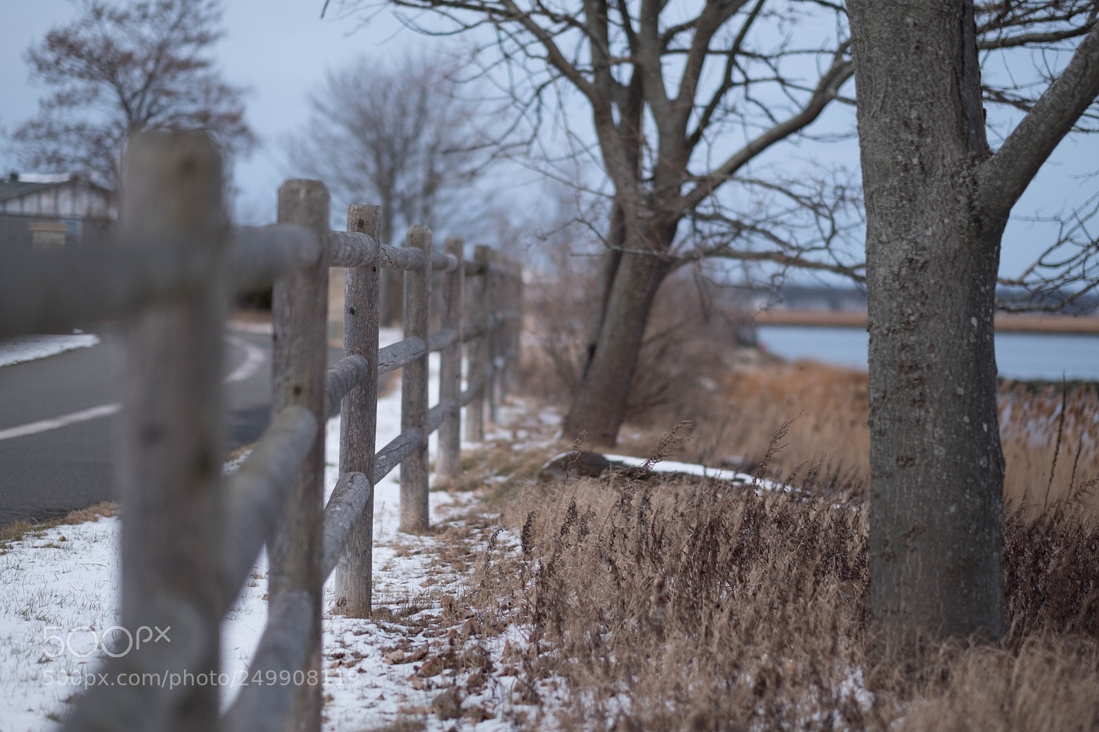 Fujifilm X-Pro2 sample photo. Fenced out photography