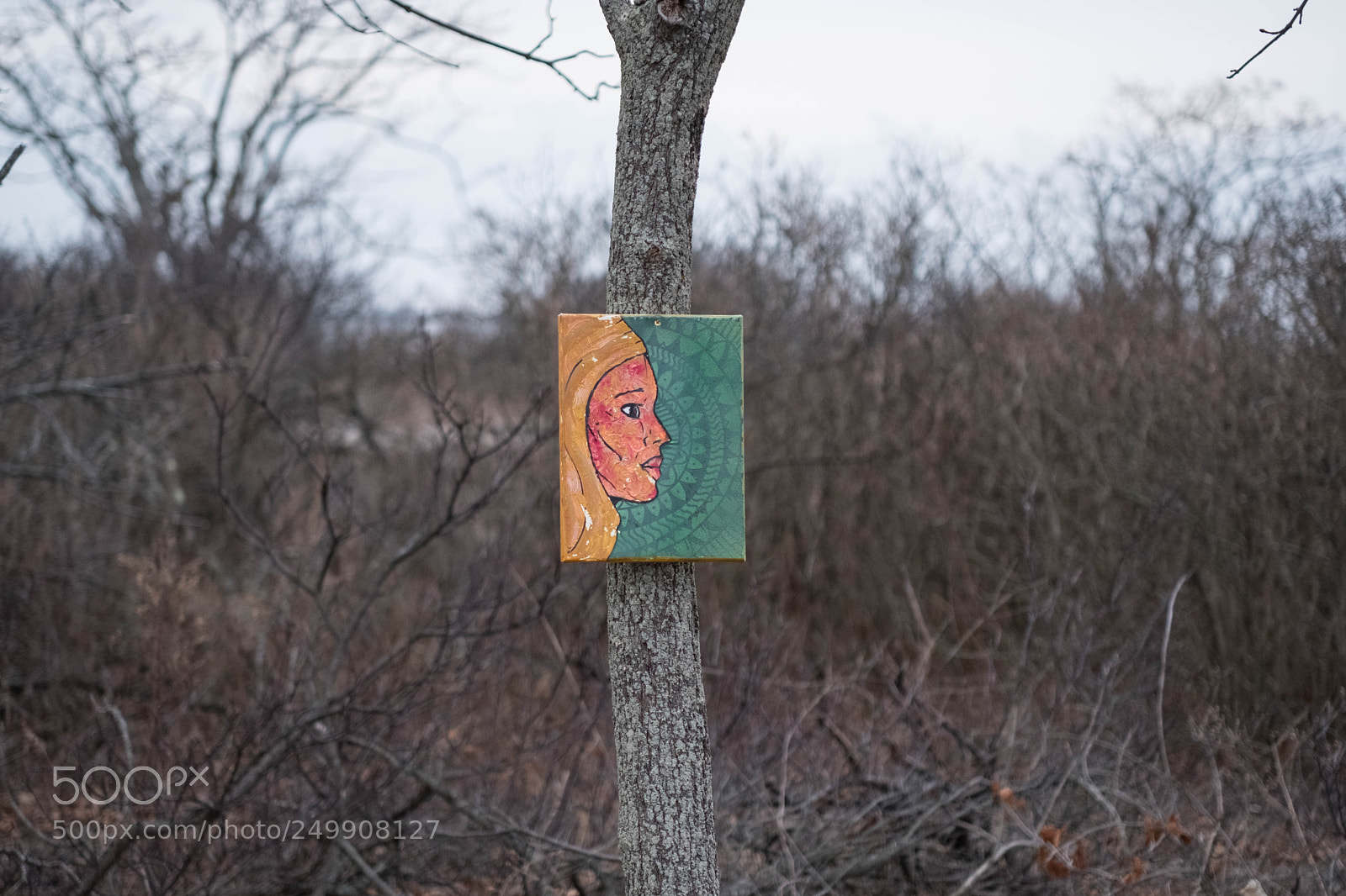 Fujifilm X-Pro2 sample photo. Painted tree photography