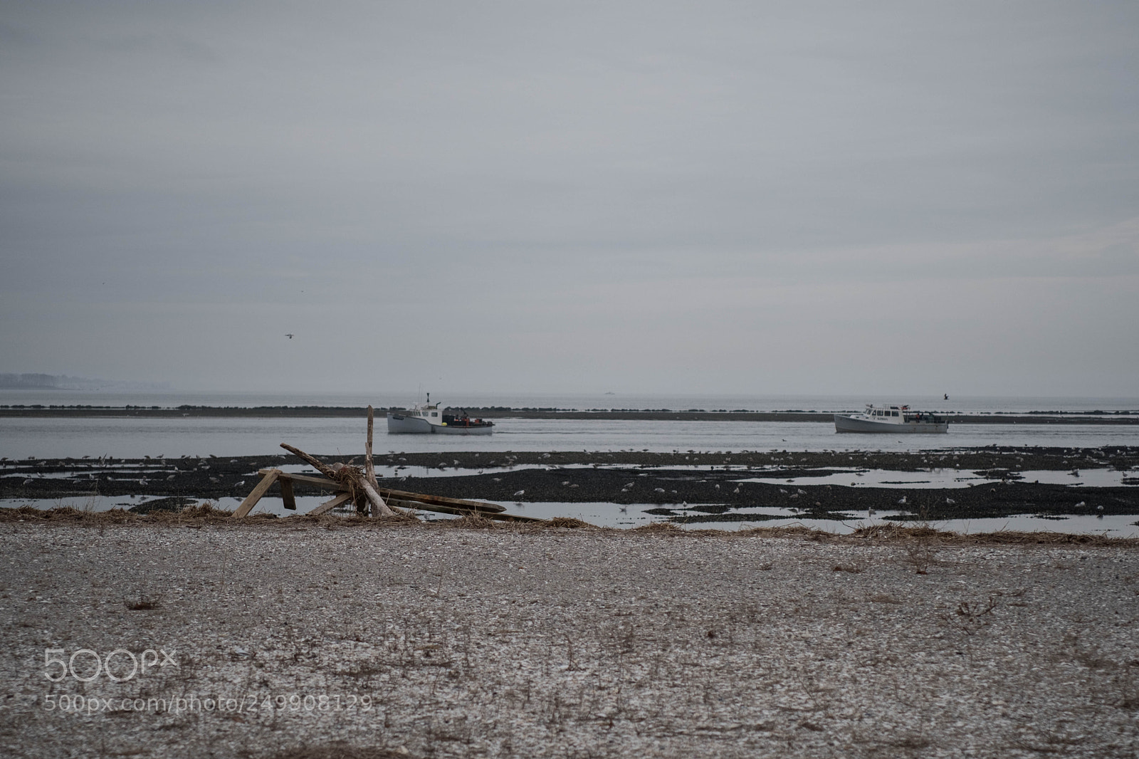 Fujifilm X-Pro2 sample photo. Clamming photography