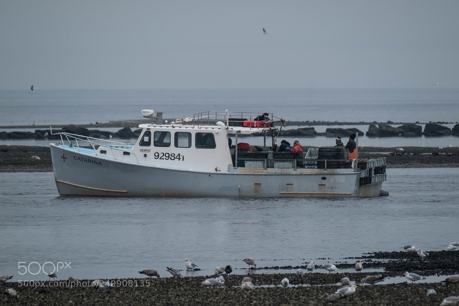 Fujifilm X-Pro2 sample photo. Clam work photography