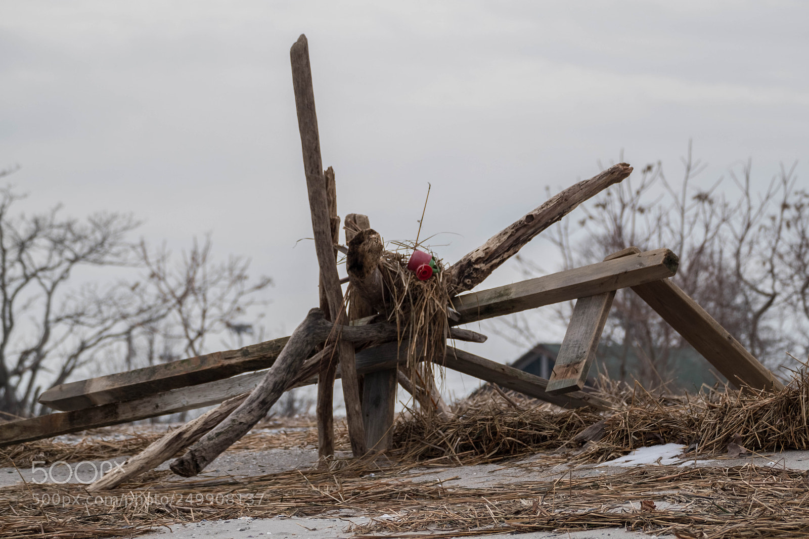 Fujifilm X-Pro2 sample photo. (un)natural structure photography