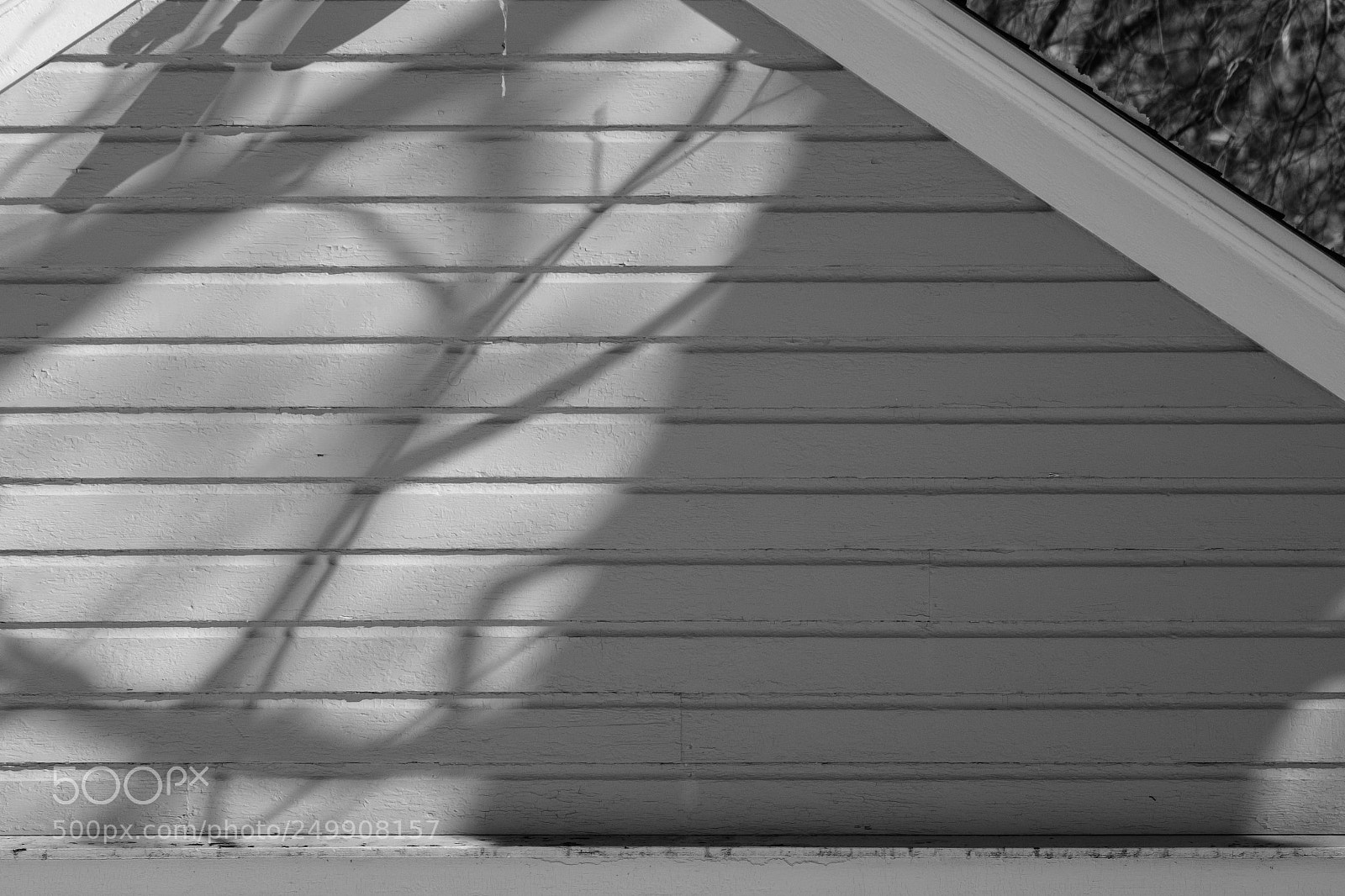 Fujifilm X-Pro2 sample photo. The shadows photography