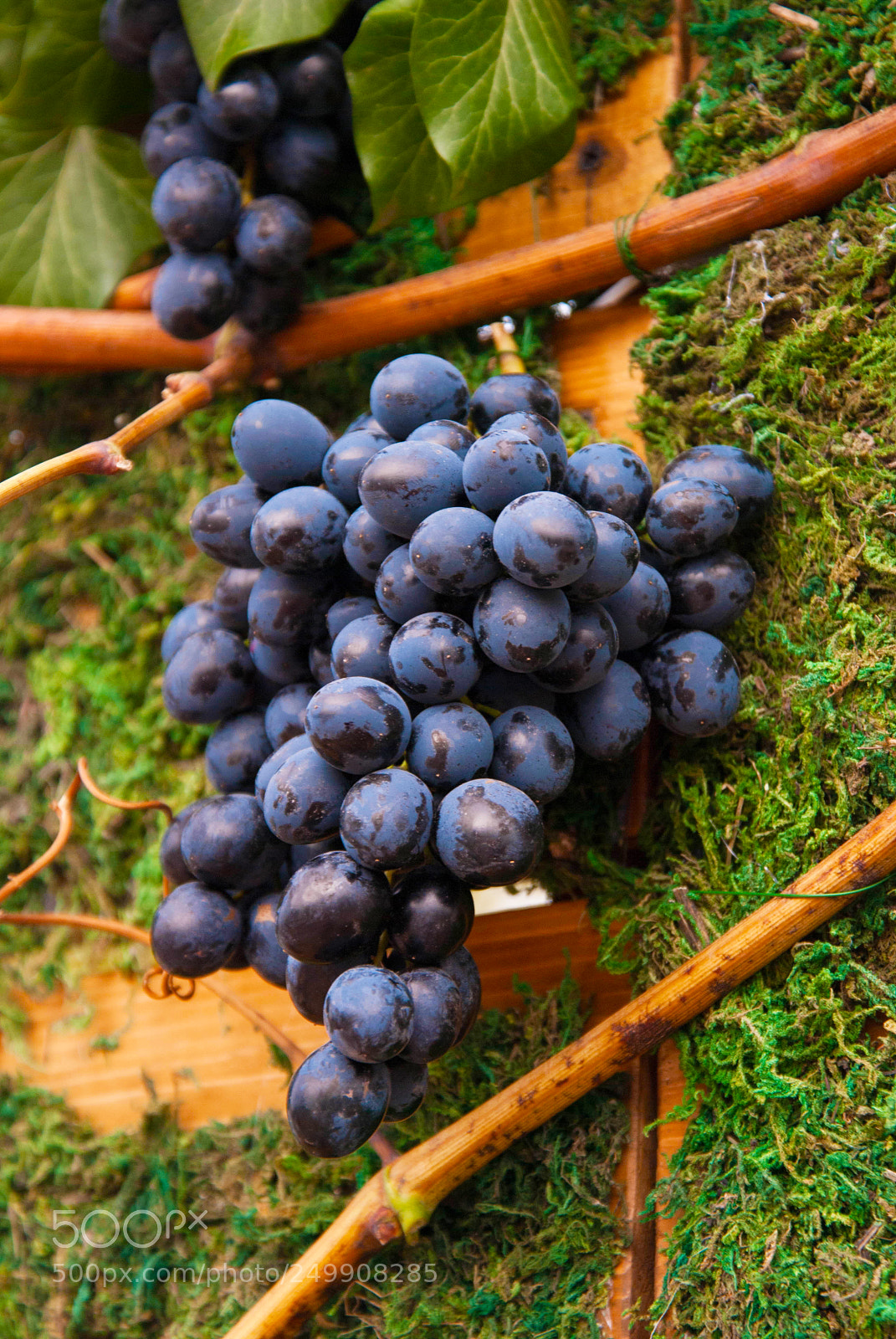 Nikon D80 sample photo. Fresh summer grape on photography