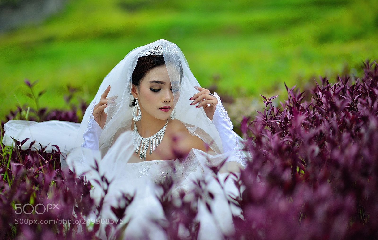 Nikon D800 sample photo. Lonely photography