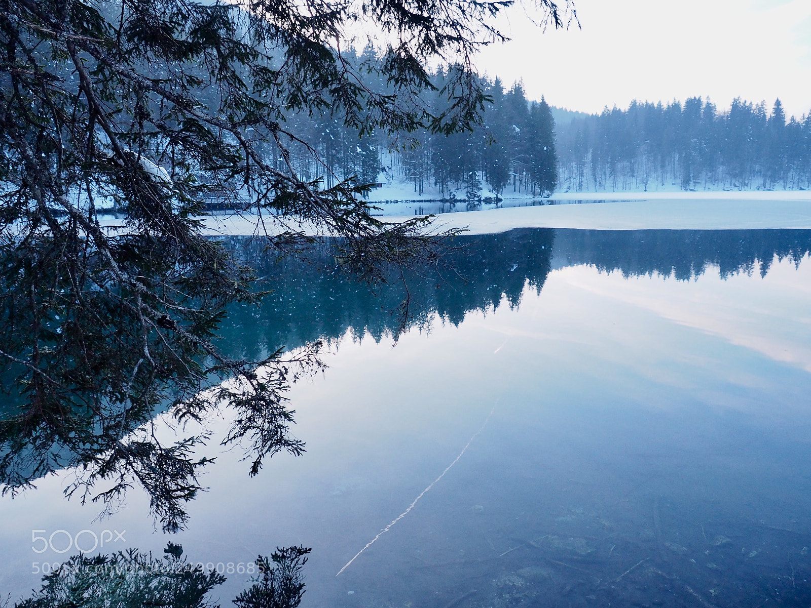 Olympus OM-D E-M10 II sample photo. Laghi di fusine photography