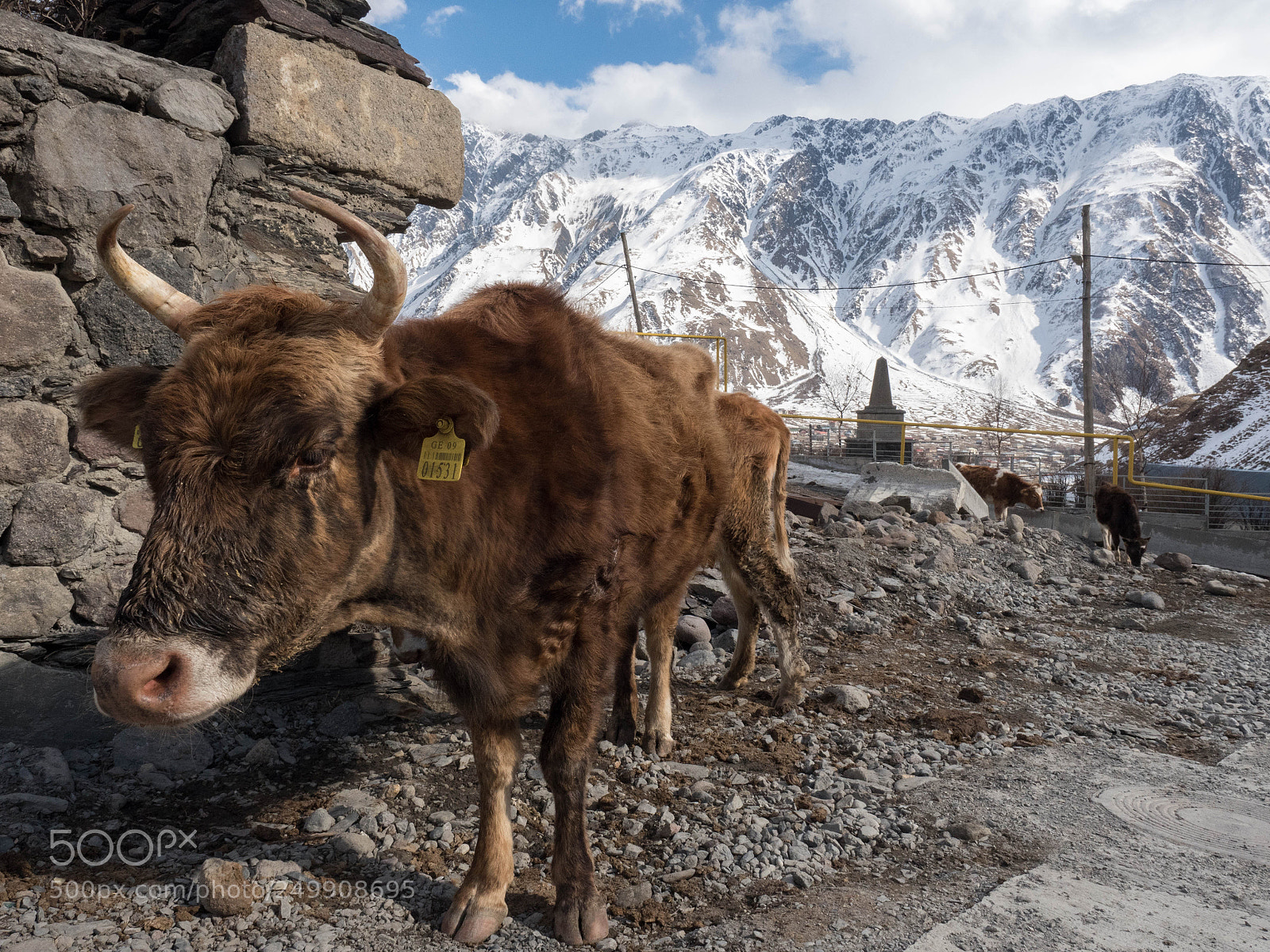 Olympus OM-D E-M5 II sample photo. Caucasus' nature photography