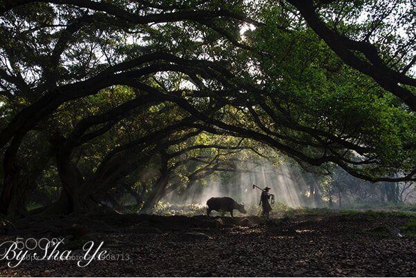 Nikon D610 sample photo. Untitled photography