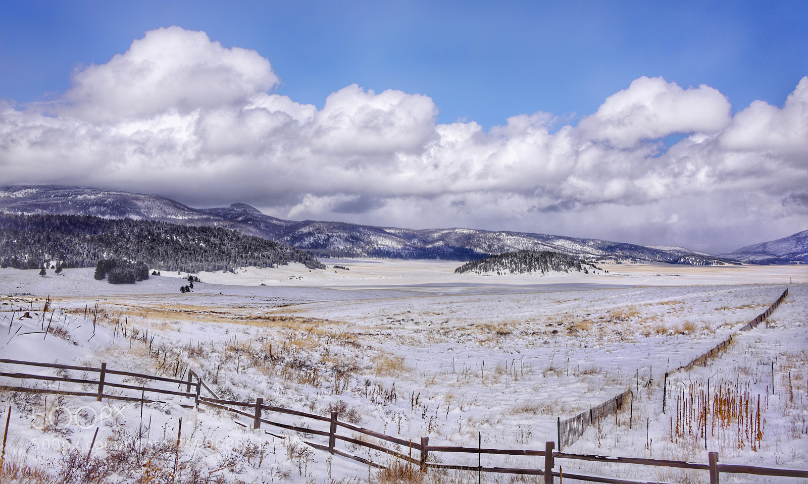 Nikon D810 sample photo. Valles caldera, new mexico photography