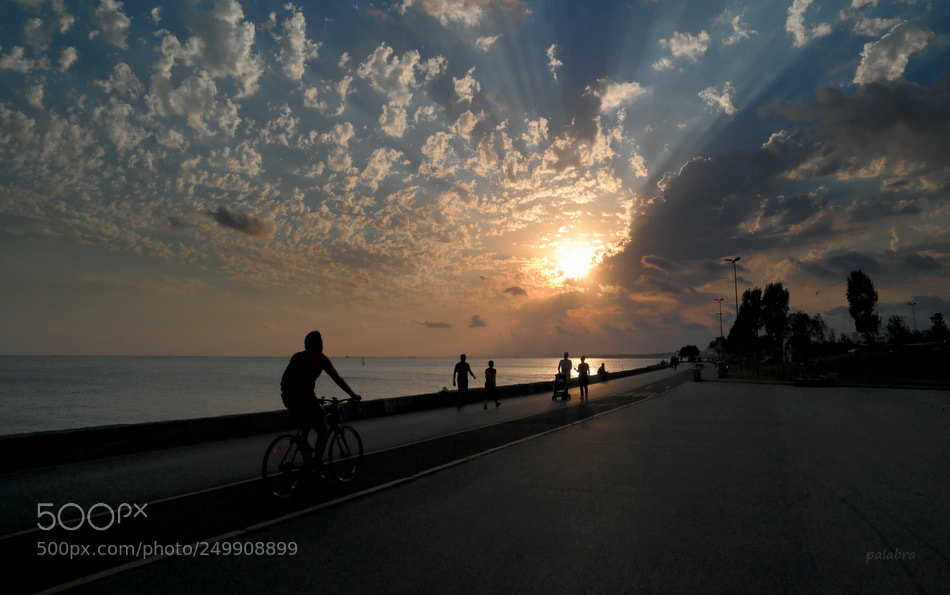 Samsung NX30 sample photo. ... photography