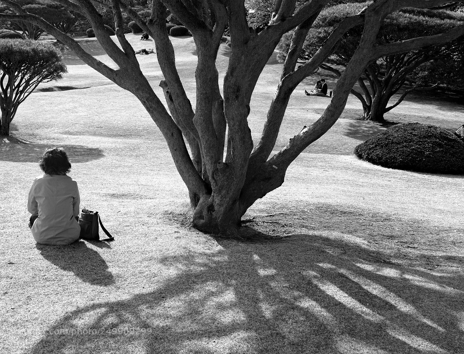Fujifilm FinePix X100 sample photo. Hamarikyu gardens, chuo, tokyo photography
