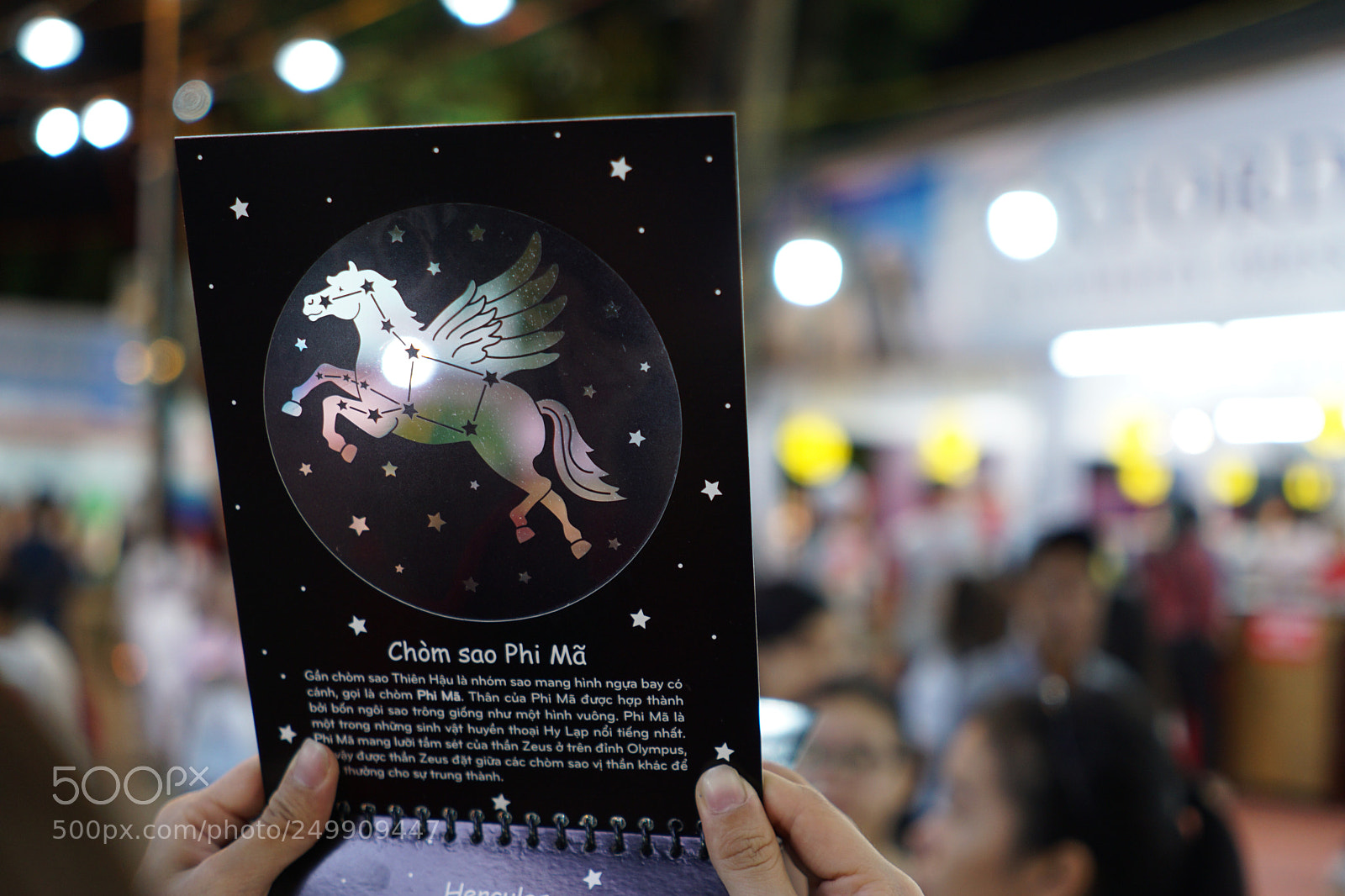 Sony a6000 sample photo. Untitled photography