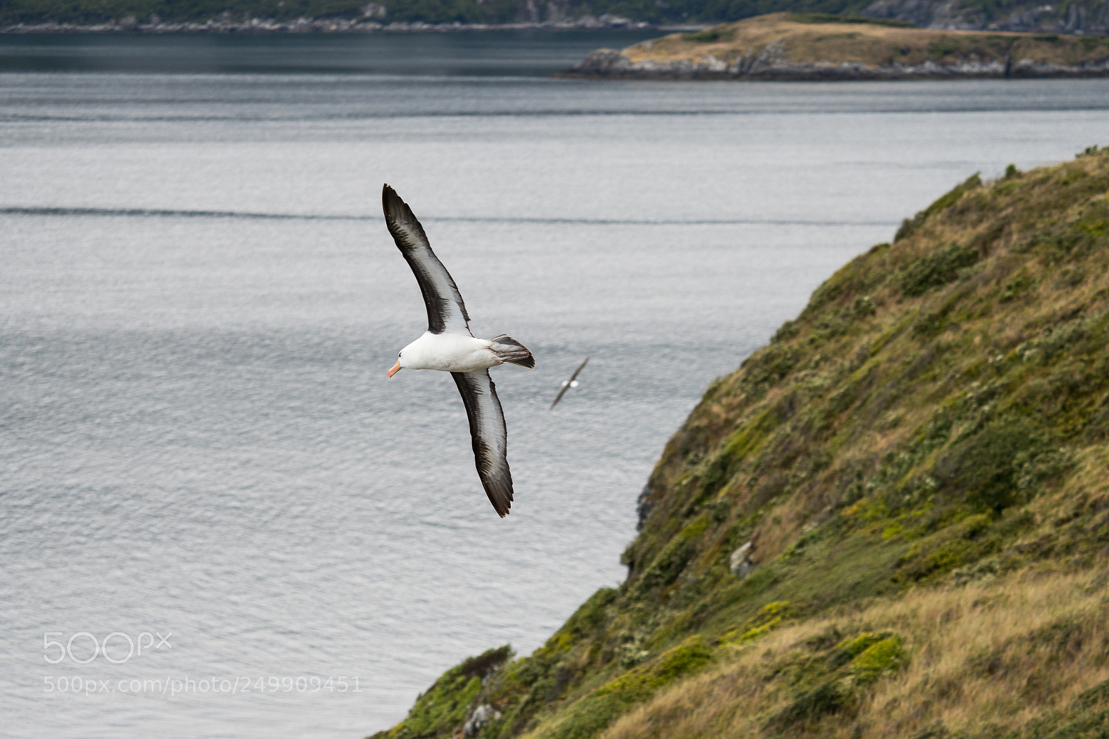 Olympus OM-D E-M1 Mark II sample photo. Olympus digital camera photography