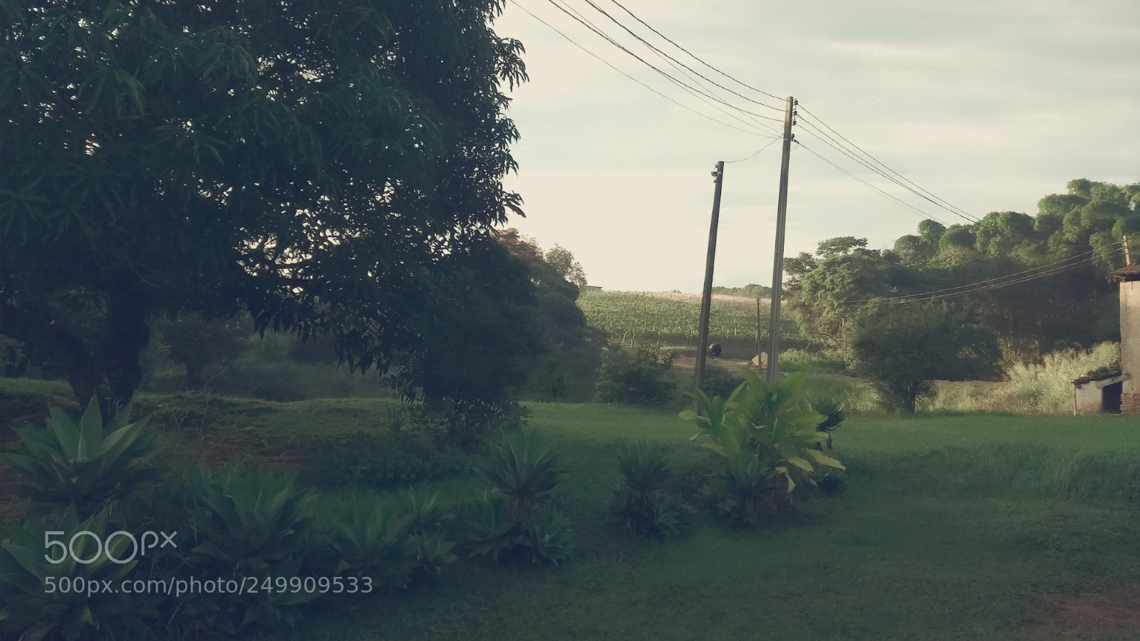Motorola Moto G (5) Plus sample photo. Untitled photography