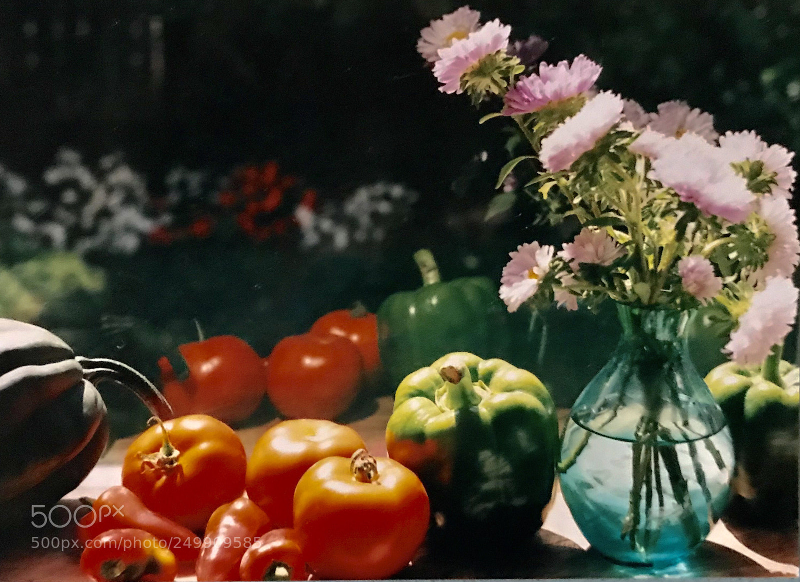 Apple iPhone 7 Plus sample photo. Garden still life, santa photography