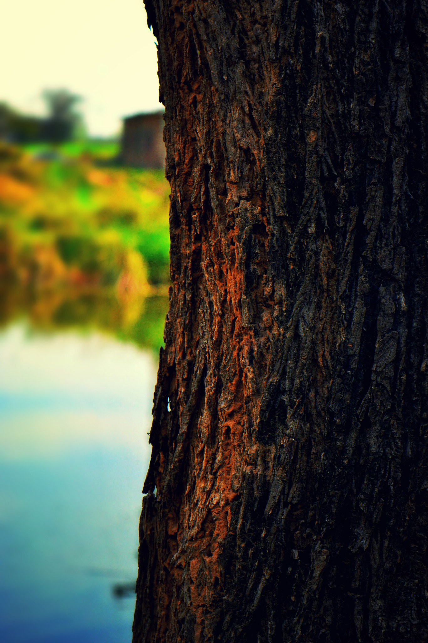 Nikon D3100 sample photo