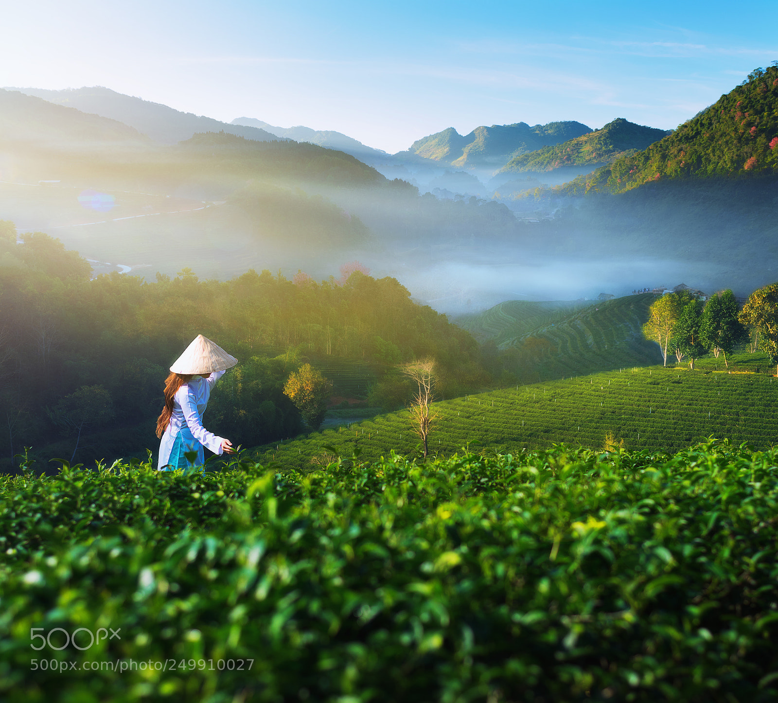 Nikon D5300 sample photo. Women harvest morning tea photography