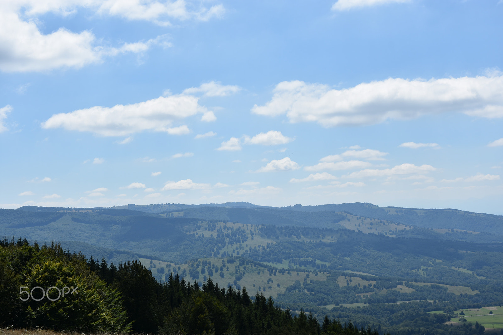 Nikon D7200 sample photo. Pure nature photography