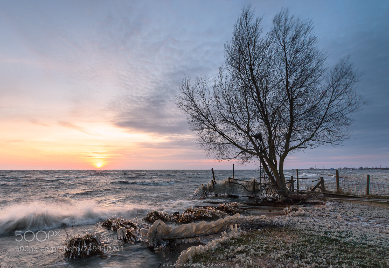 Nikon D7200 sample photo. Lonely tree photography