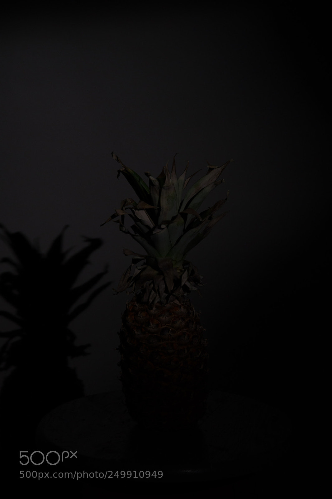 Nikon D610 sample photo. Lurking photography