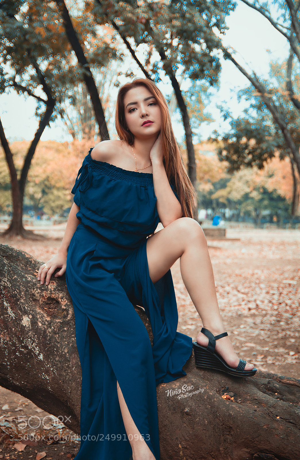 Nikon D7200 sample photo. Seika photography