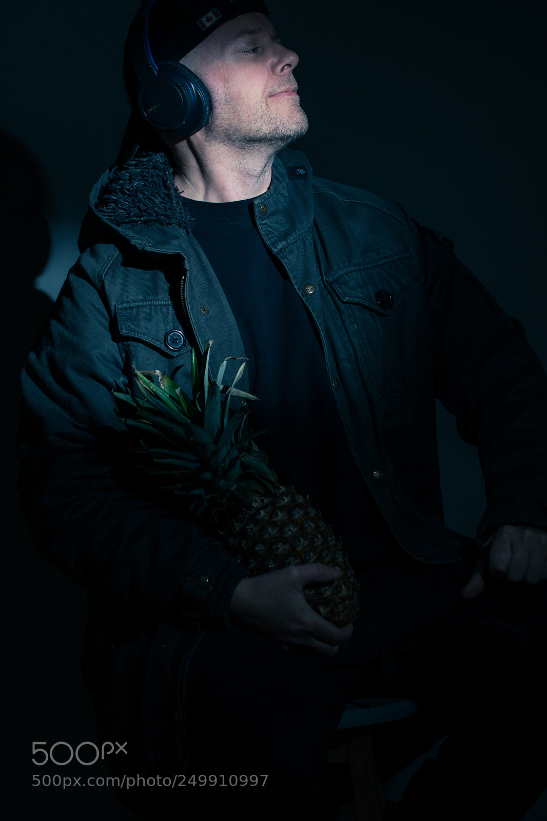 Nikon D610 sample photo. Potomac pineapple photography